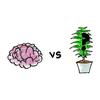 Illustrations of a brain and a plant squaring off.