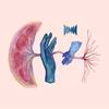 An illustration of a placenta, with a cord running through an adult hand, then a baby hand, and branching out into veins and capillaries on the other side. 