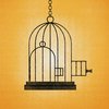 A a simple illustration of a smaller birdcage within a larger one. 