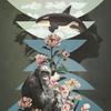 A collage of a chimp, a flower, an orca and the Radiolab symbol.