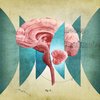 An anatomical illustration of a human brain in profile, rendered in a vintage, scientific style. It puts particular focus on the cerebellum in a cutout, layered on top of musical notation.