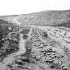 Restoration of an 1855 photo by Roger Fenton at the 'Valley of the Shadow of Death,' cannonballs on the road