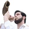 The shofar, an instrument most closely associated with Jewish festivals and religious texts. 