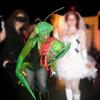 Preying mantis Halloween costume