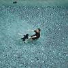 swimming pool, father, child