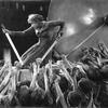 Brigitte Helm as Maria in Fritz Lang's <em>Metropolis</em>