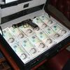 Briefcase of cash