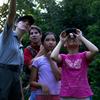 Shirley Wu, 11, catching a glimpse of a red-tailed hawk perched above the camp ground in Central Park.