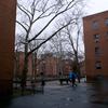 public housing, projects, NYCHA