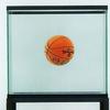 One Ball Total Equilibrium Tank, 1985. Glass, iron, water, and basketball, 64 1/2 x 30 1/2 x 13 1/4 in. The Dakis Joannou Collection, Athens