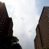 Jackson Houses in the Bronx, public housing, NYCHA