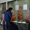 Visitors look at the Metropolitan Museum of Art's collection of viola da gambas 