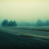 Foggy road