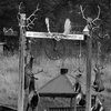 Broken Wheel Ranch in Montana