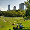 Picnicking in Central Park