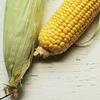 Corn