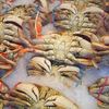 Seafood market: Crabs