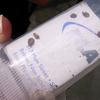 Dead bed bugs in a vial