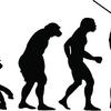 Darwin, Evolution