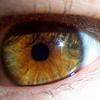 eye ball