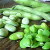 Whole, shucked and peeled fava beans