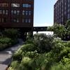 The High Line in Lower Manhattan.