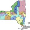 New York State Senate district map
