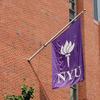 New York University