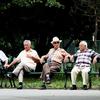 A group of elderly Romanian men relax.