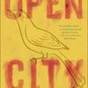 Open City, Teju Cole