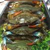 Live soft shell crab at Stew Leonards