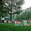 The lawn at Tanglewood outdoor music festival