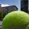 The Net Post tennis ball