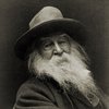 The Brooklyn poet Walt Whitman
