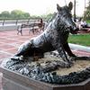The bronze wild boar 'Porcellino' sculpture by Pietro Tacca in Manhattan's Sutton Place Park.