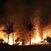 Trump's (and Associates') GA Indictment; 2024 Election in NY; The Fires in Hawaii; Mark Bittman's Plan to 'Disrupt' How We Eat; How Education Impacts Hiring