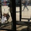 Parenthood and Poverty in the Inner City