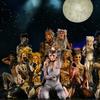 Throwback Thursday: Andrew Lloyd Webber's 'Cats' Opens on Broadway