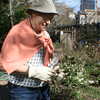 NYC’s First Community Garden