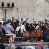 The Knights Perform Mozart, Boccherini and a Glass Premiere in Central Park