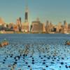 NYC 2050: Climate Change and the Future of New York  