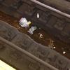 Tackling Trash on the Tracks