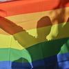 Pride Programming Highlights