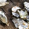 Object #4: The Oyster