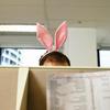 Occupational Hazards: Navigating the Tough Terrain of Cubicle Land