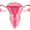 Voices of the Fight: 45 Years Since Roe V. Wade