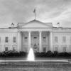 The White House presidential power 30 issues