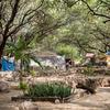 Pu’uhonua o Waianae is the largest homeless encampment in Hawaii, with some 200 residents.
