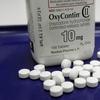 This Feb. 19, 2013, file photo, shows OxyContin pills arranged for a photo at a pharmacy in Montpelier, Vt., a location enduring the opioid drug epidemic. 