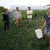 In this Tuesday, Aug. 5, 2014 photo, farmer Katie Miller, 32, of Providence, R.I., right, talks to a group of farmers about harvesting seeds from red leaf lettuce plants at Scratch Farm in R.I.